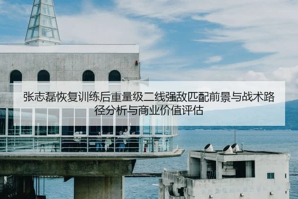 张志磊恢复训练后重量级二线强敌匹配前景与战术路径分析与商业价值评估